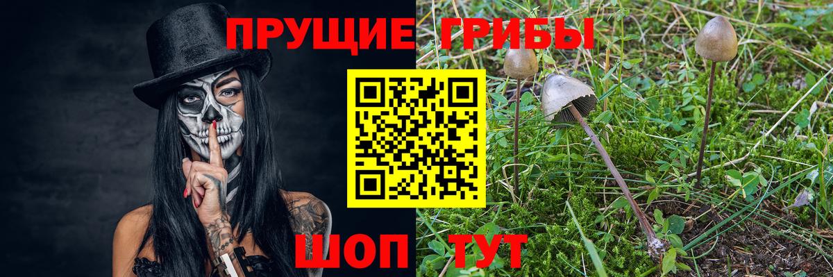 Галлюциногенные грибы Cubensis  Вход с VPN  Белебей 