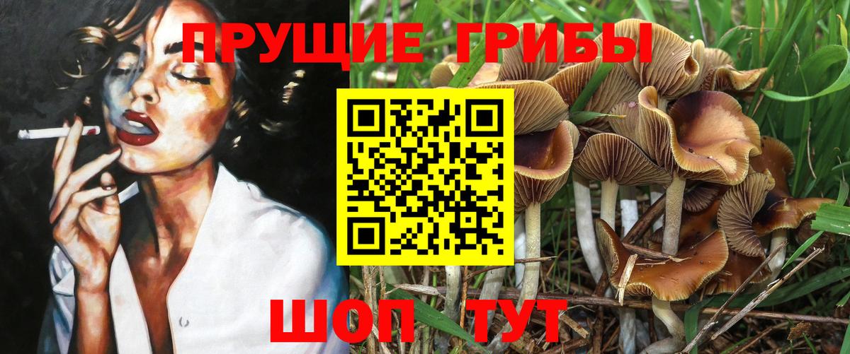 Псилоцибиновые грибы MAGIC MUSHROOMS Белебей